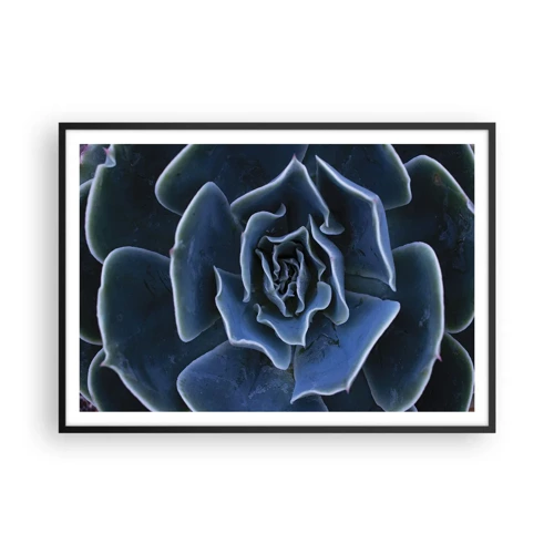 Poster in black frame - Flower of the Desert - 100x70 cm