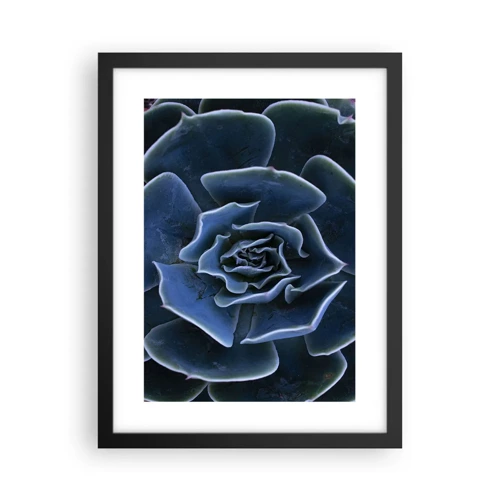 Poster in black frame - Flower of the Desert - 30x40 cm