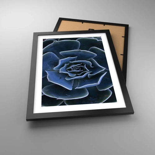 Poster in black frame - Flower of the Desert - 30x40 cm