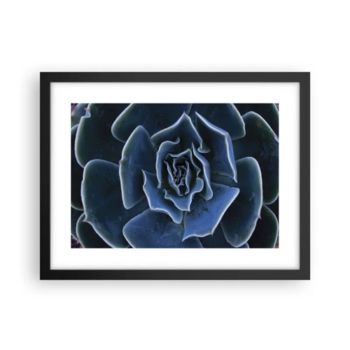 Poster in black frame - Flower of the Desert - 40x30 cm