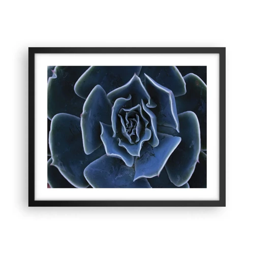 Poster in black frame - Flower of the Desert - 50x40 cm