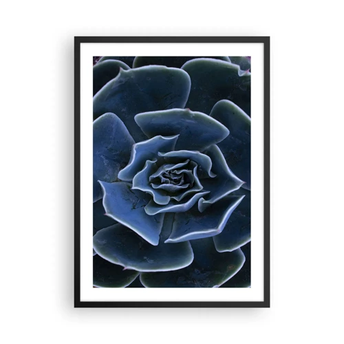 Poster in black frame - Flower of the Desert - 50x70 cm