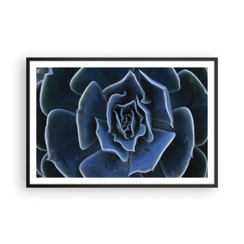 Poster in black frame - Flower of the Desert - 91x61 cm
