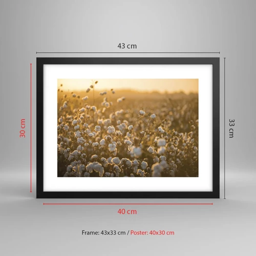 Poster in black frame - Fluffy Field - 40x30 cm