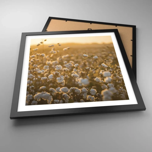 Poster in black frame - Fluffy Field - 40x40 cm