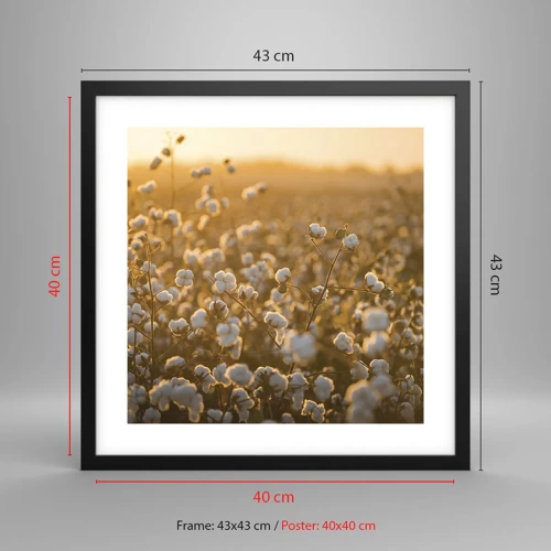 Poster in black frame - Fluffy Field - 40x40 cm