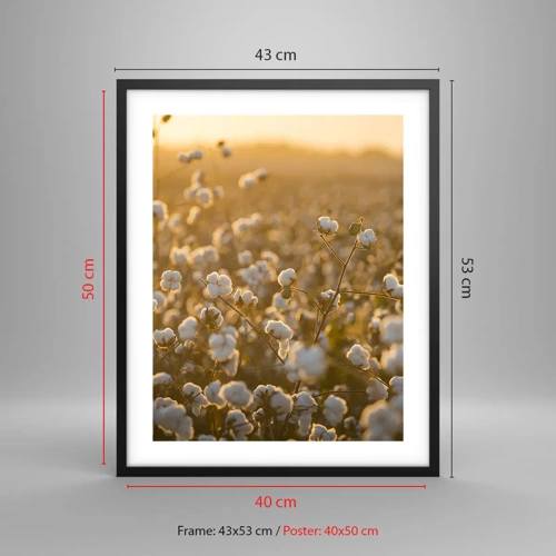 Poster in black frame - Fluffy Field - 40x50 cm