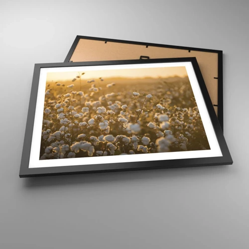 Poster in black frame - Fluffy Field - 50x40 cm