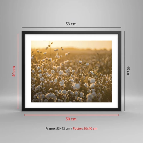 Poster in black frame - Fluffy Field - 50x40 cm