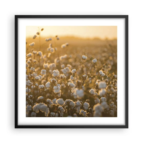 Poster in black frame - Fluffy Field - 50x50 cm