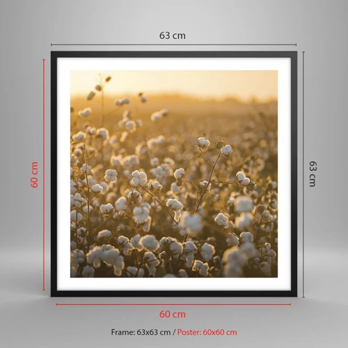 Poster in black frame - Fluffy Field - 60x60 cm