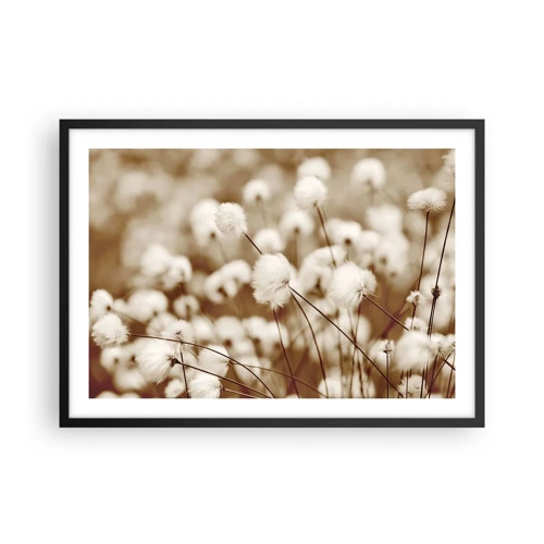 Poster in black frame - Fluffy field - 70x50 cm