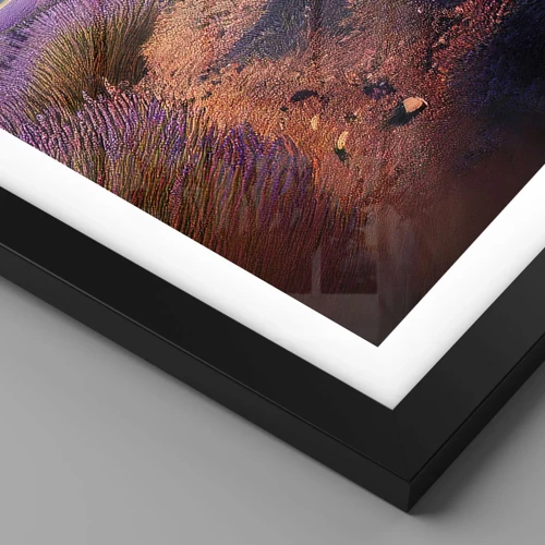 Poster in black frame - Fragrant Fields - 50x70 cm