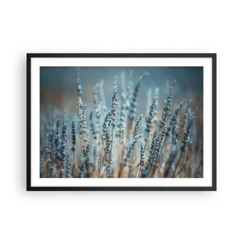 Poster in black frame - Fragrant Grass - 70x50 cm