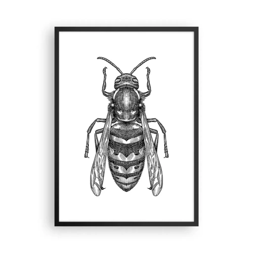 Poster in black frame - From Insect Planet - 50x70 cm