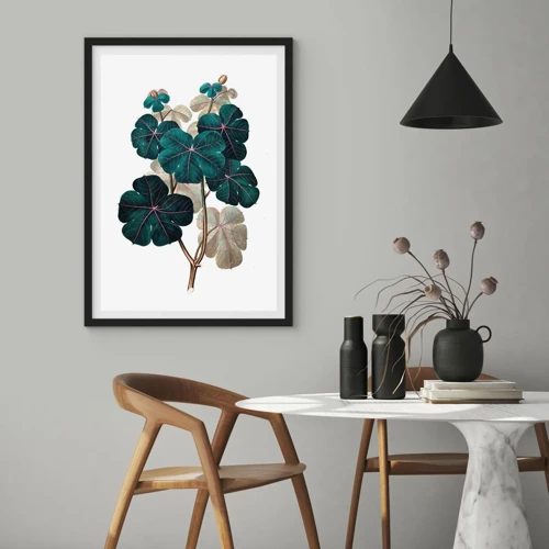 Poster in black frame - From the Old Herbarium - 30x40 cm