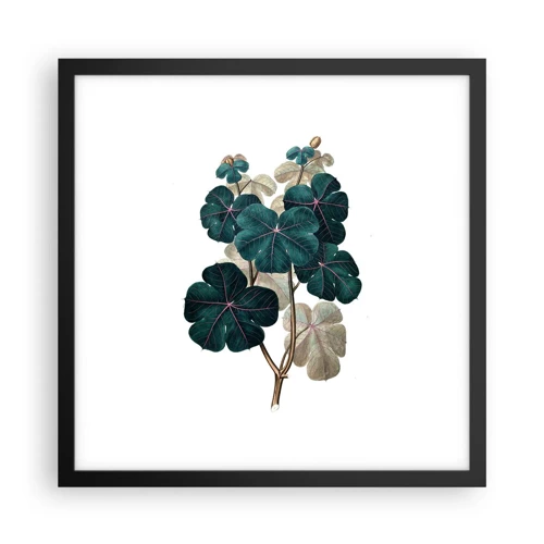 Poster in black frame - From the Old Herbarium - 40x40 cm