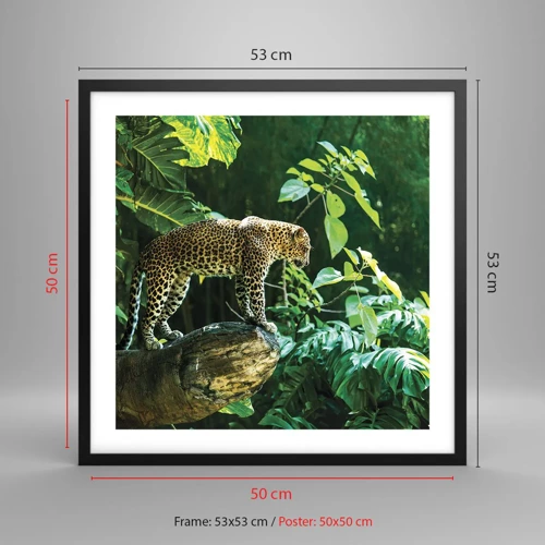 Poster in black frame - Going Hunting? - 50x50 cm