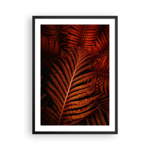 Poster in black frame - Heat of Life - 50x70 cm