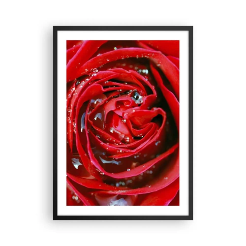 Poster in black frame - In Dew Drops - 50x70 cm