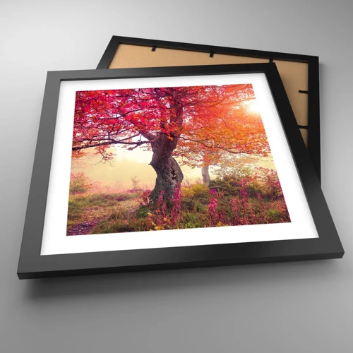 Poster in black frame - In Full Bloom - 30x30 cm