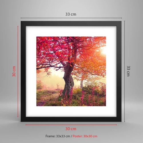 Poster in black frame - In Full Bloom - 30x30 cm