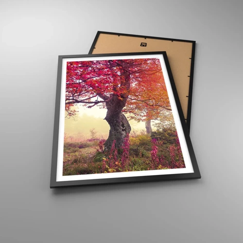 Poster in black frame - In Full Bloom - 50x70 cm