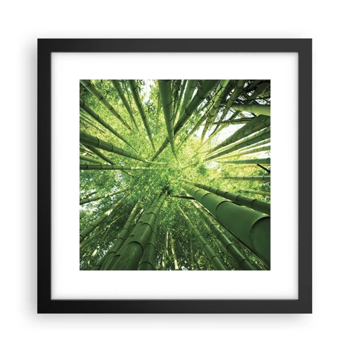 Poster in black frame - In a Bamboo Forest - 30x30 cm