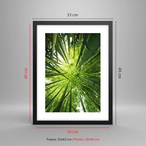 Poster in black frame - In a Bamboo Forest - 30x40 cm