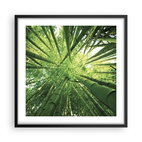 Poster in black frame - In a Bamboo Forest - 50x50 cm