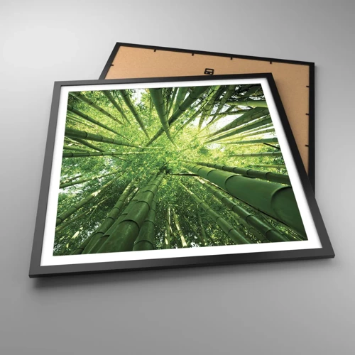 Poster in black frame - In a Bamboo Forest - 60x60 cm
