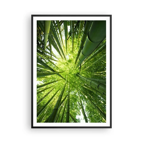 Poster in black frame - In a Bamboo Forest - 70x100 cm