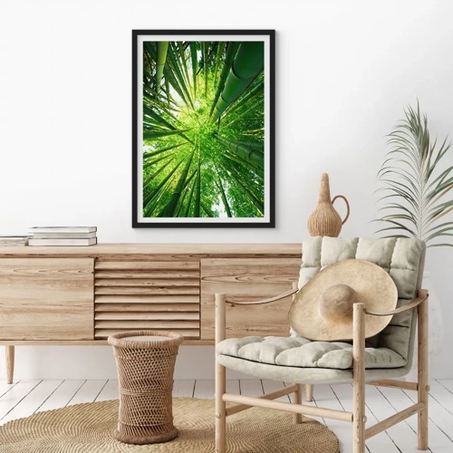 Poster in black frame - In a Bamboo Forest - 70x100 cm