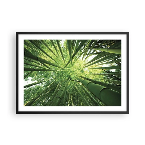 Poster in black frame - In a Bamboo Forest - 70x50 cm