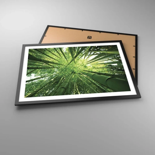 Poster in black frame - In a Bamboo Forest - 70x50 cm