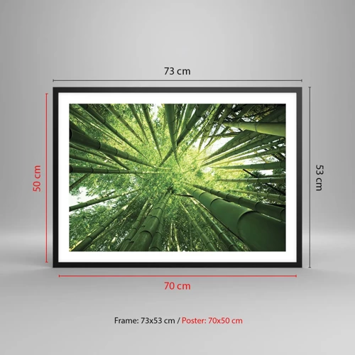 Poster in black frame - In a Bamboo Forest - 70x50 cm