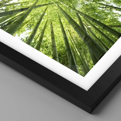 Poster in black frame - In a Bamboo Forest - 70x50 cm