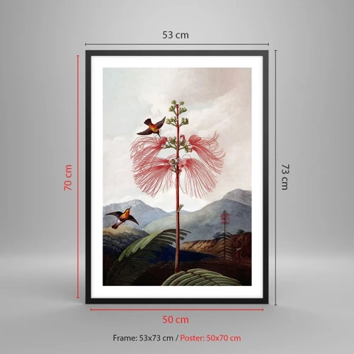 Poster in black frame - In a Tropical Paradise - 50x70 cm