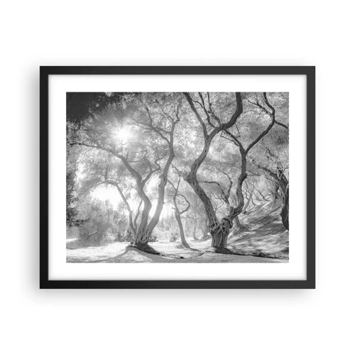 Poster in black frame - In an Olive Grove - 50x40 cm