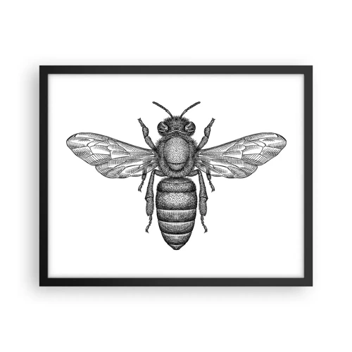 Poster in black frame - Insect Portrait - 50x40 cm