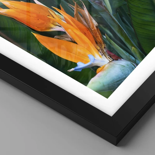 Poster in black frame - Is It a Flower or a Bird? - 30x30 cm