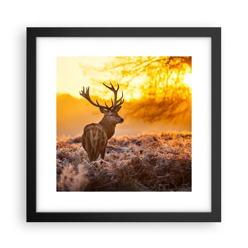 Poster in black frame - King of Autumnal Forest - 30x30 cm