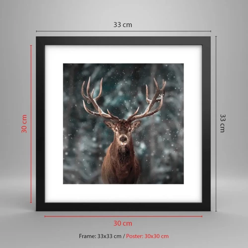 Poster in black frame - King of Forest Crowned - 30x30 cm