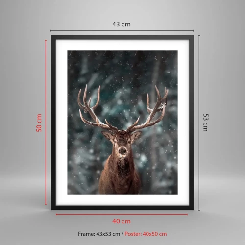 Poster in black frame - King of Forest Crowned - 40x50 cm