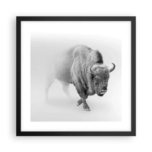 Poster in black frame - King of the Prairie - 40x40 cm