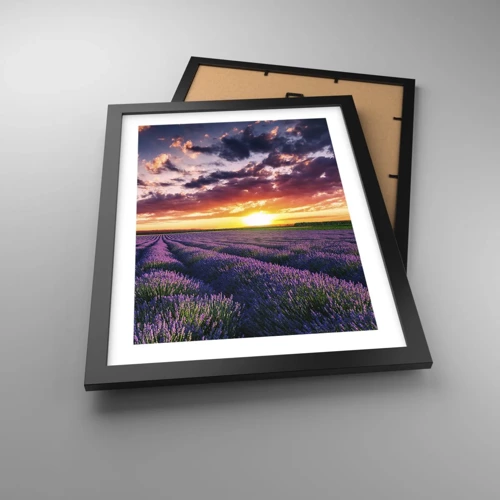 Poster in black frame - Lavender World - 30x40 cm