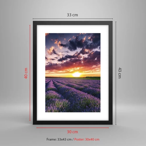 Poster in black frame - Lavender World - 30x40 cm