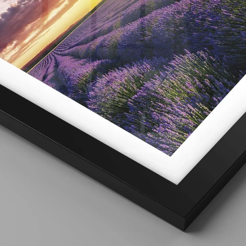 Poster in black frame - Lavender World - 30x40 cm