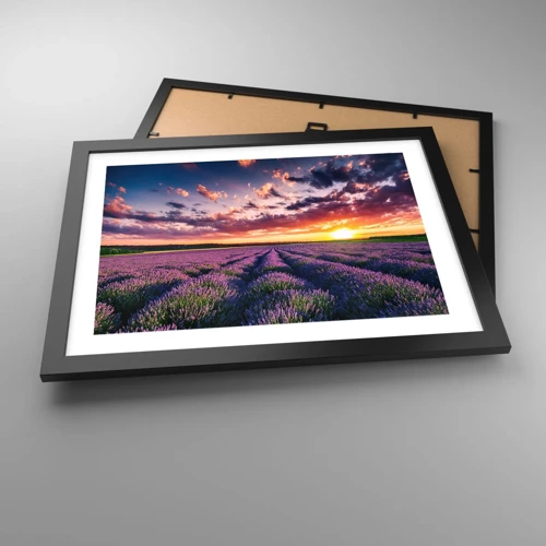Poster in black frame - Lavender World - 40x30 cm