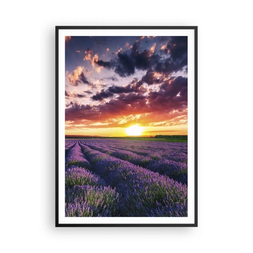 Poster in black frame - Lavender World - 70x100 cm
